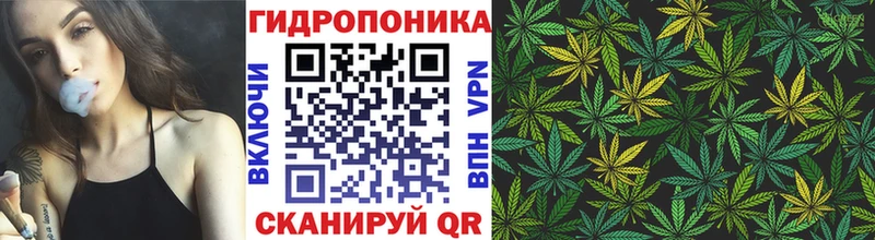 KRAKEN зеркало  Суоярви  Каннабис планчик 